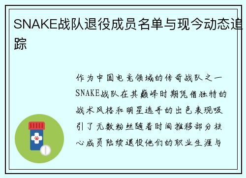 SNAKE战队退役成员名单与现今动态追踪